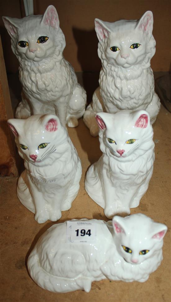 Set of cats